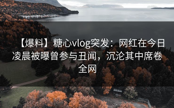 【爆料】糖心vlog突发：网红在今日凌晨被曝曾参与丑闻，沉沦其中席卷全网  第1张