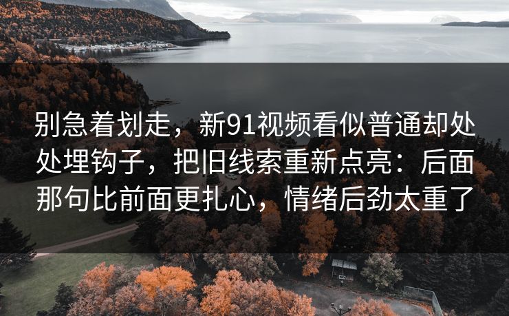 别急着划走，新91视频看似普通却处处埋钩子，把旧线索重新点亮：后面那句比前面更扎心，情绪后劲太重了
